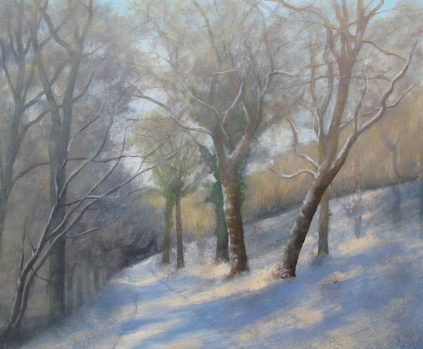The Snowy Track