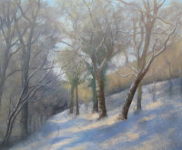 The Snowy Track