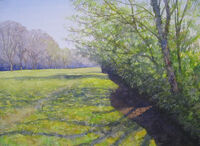 Spring Morning, Blackcap Sings watercolour brook in city park with spring light shining through