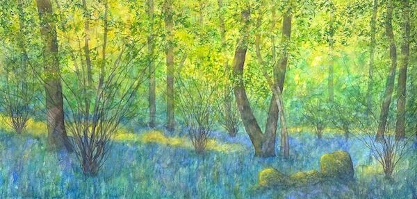 Stanner rocks National Nature Reserve glade with bluebells