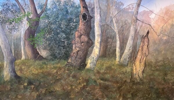 ancient oaks with holly trees in autumn