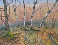 Study - Silver Birch Regenerating sliver birch stems growing up from fallen trunk
