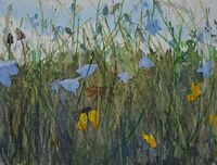 Study for Harebells harebells watercolour study