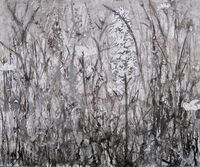 Study for Orchid drawing orchid meadow