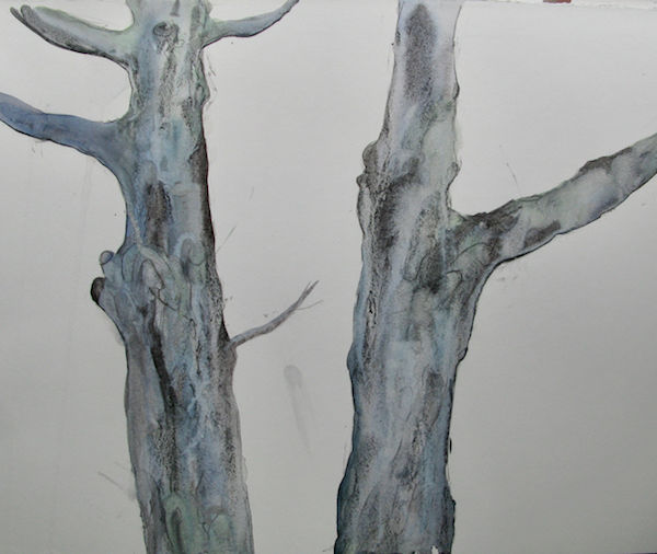 watercolour birch