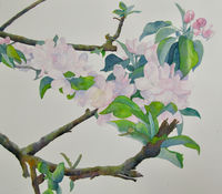 The Joy of Blossomtime watercolour apple blossom