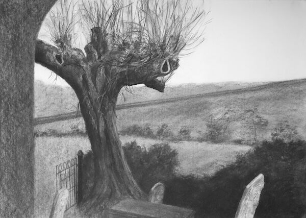 charcoal drawing of pollarded willow in form of cross
