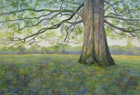 Venerable Oak oak tree watercolour spring