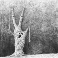 charcoal sketch of veteran pollard native black poplar
