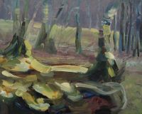 Wellington Wood No. 17