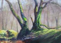 Wellington Wood No. 34