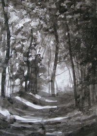Woodland Path I