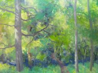 Summer Woodland V