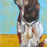 Basset Hound