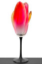 Tulip Glass