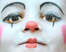Painted Lady