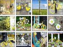 6 Yellow Bikes