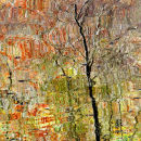 Autumn reflection