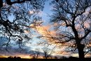 Beckwithshaw Sunrise