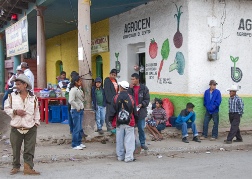 Bus Stop, Esperanza