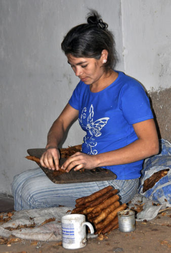 Cigar rolling