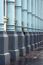 Columns