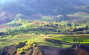 Constanza Farmland, Dominican Republic