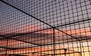 Cricket net sunset
