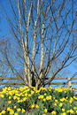DSCF5158 copy