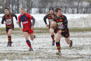 DSC 0725 copy