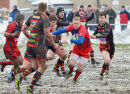 DSC 0785 copy