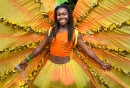 DSC 7807 C copy