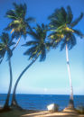 Dominican Beach