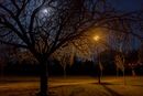 Full Moon on the Stray