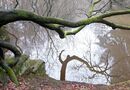 Hookstone 1