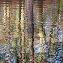 Hookstone 6