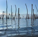 Lago Enriquillo 1