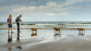Morning on the Beach