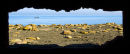 Pill box, Blast Beach