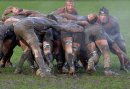 Real Rugby