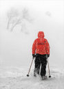 Snowstorm skier