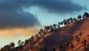 Constanza Sunset