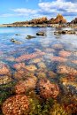 Starney Bay
