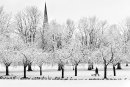 Stray Snow