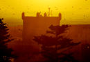 Sunset Tower