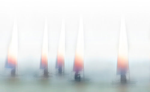 The Regatta