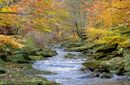 The Wasburn in Autumn copy