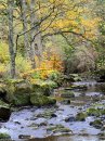 Washburn Autumn