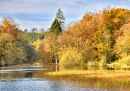 Washburn pond in Autumn
