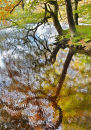 Washburn pond reflection
